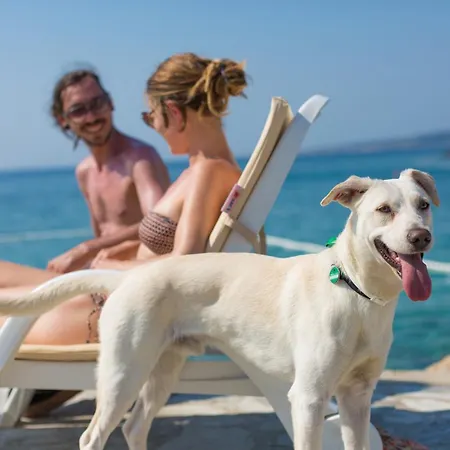 База отдыха Valamar Jezevac Крк
