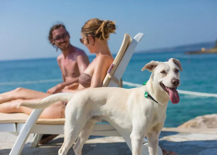 База отдыха Valamar Jezevac Крк